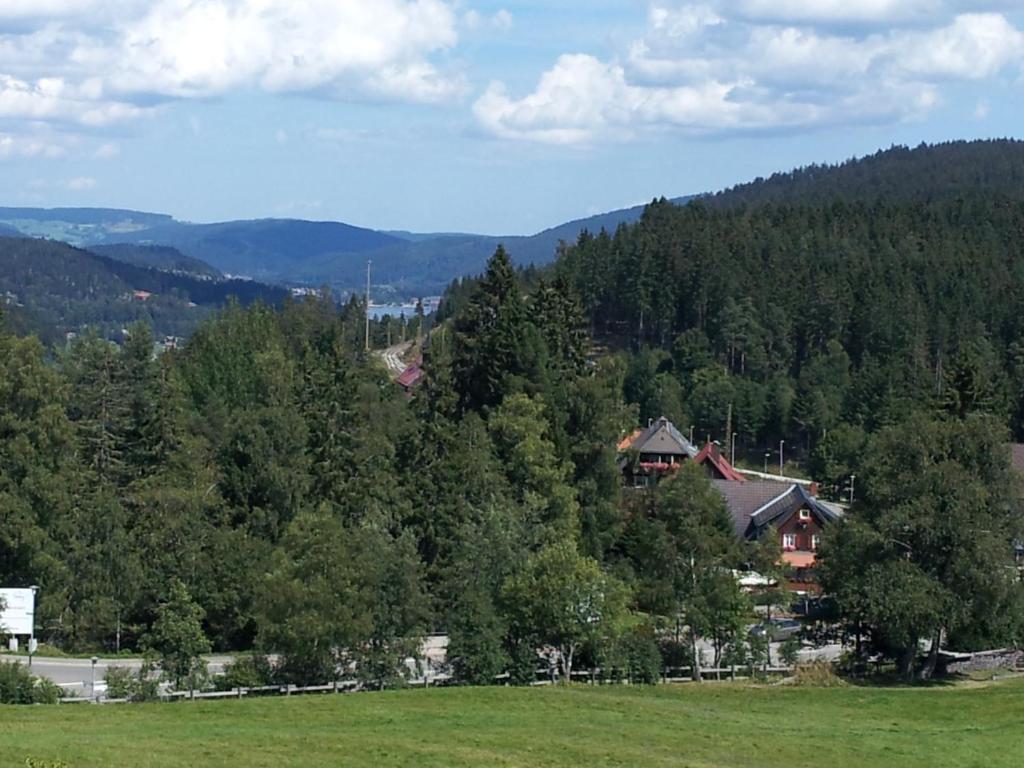 Schwarzwald-Chalet Feldberg เฟลด์แบร์ก ภายนอก รูปภาพ
